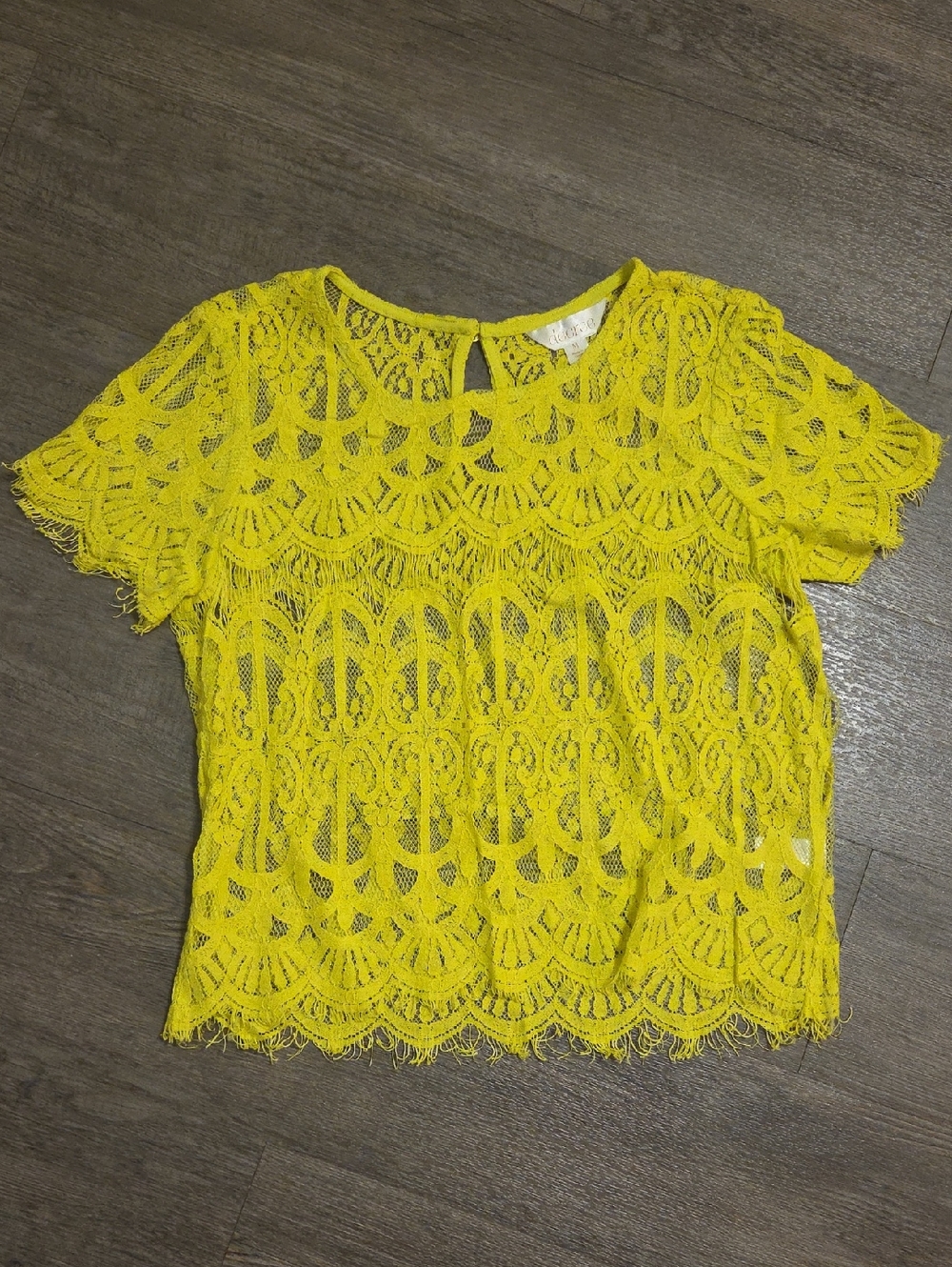 Decree • Bright Yellow Sheer Lace Short-Sleeve Blouse